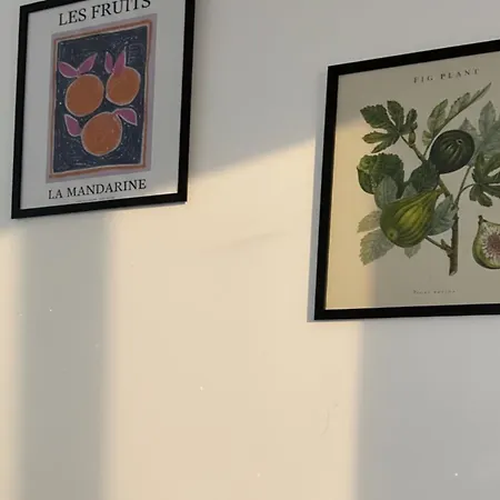 Spacious With Balcony - Nearby Schlosspark - Apolonialiving Apartament