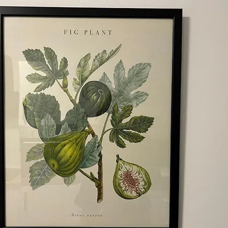 Spacious With Balcony - Nearby Schlosspark - Apolonialiving Apartament