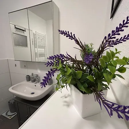 Spacious With Balcony - Nearby Schlosspark - Apolonialiving Apartament *